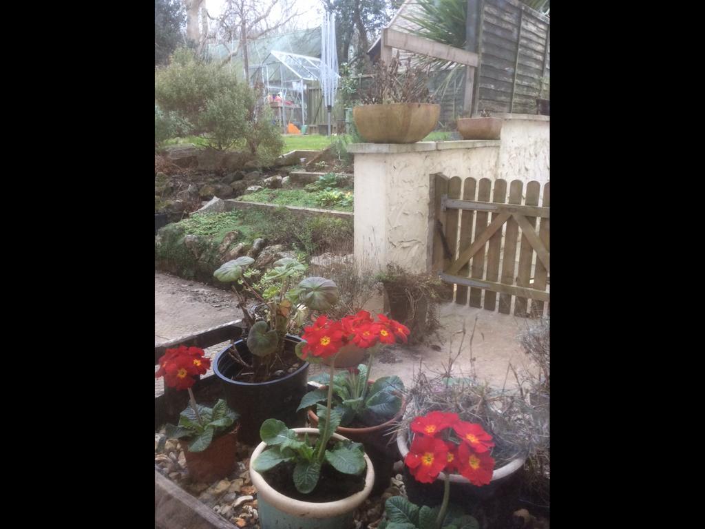 School Farm Bed & Breakfast Blagdon Exterior foto