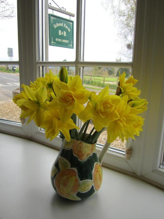 School Farm Bed & Breakfast Blagdon Exterior foto